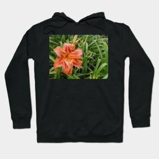 Wet Orange Lily Photographic Image Hoodie